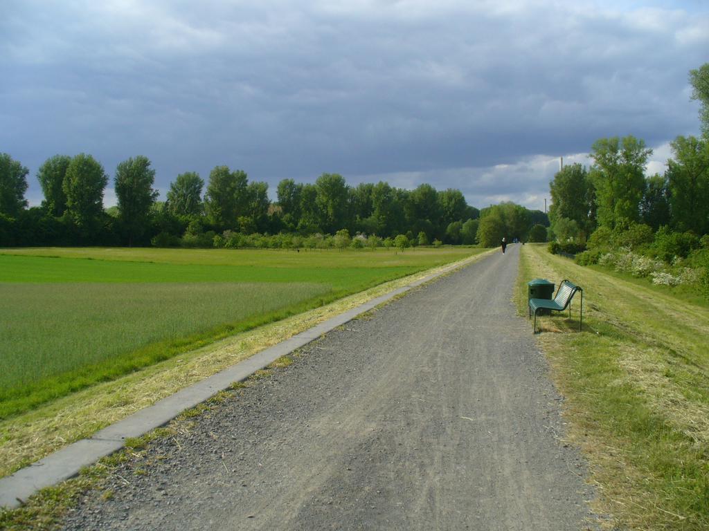 Ferienwohnung Rheinaue Colonia Esterno foto